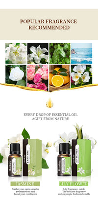 Humidifi Essential Oils